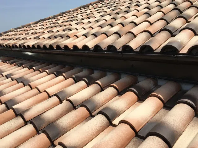 Immagine descrittiva