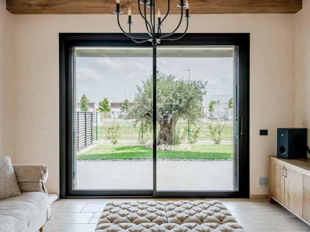 Immagine descrittiva