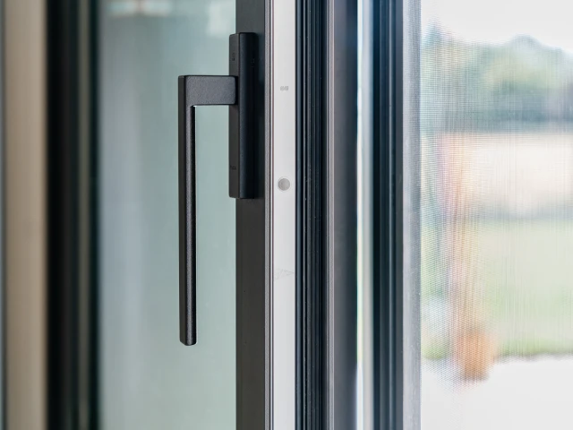 Immagine descrittiva