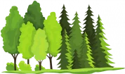 sostenibilita sezione ENVIRONMENT