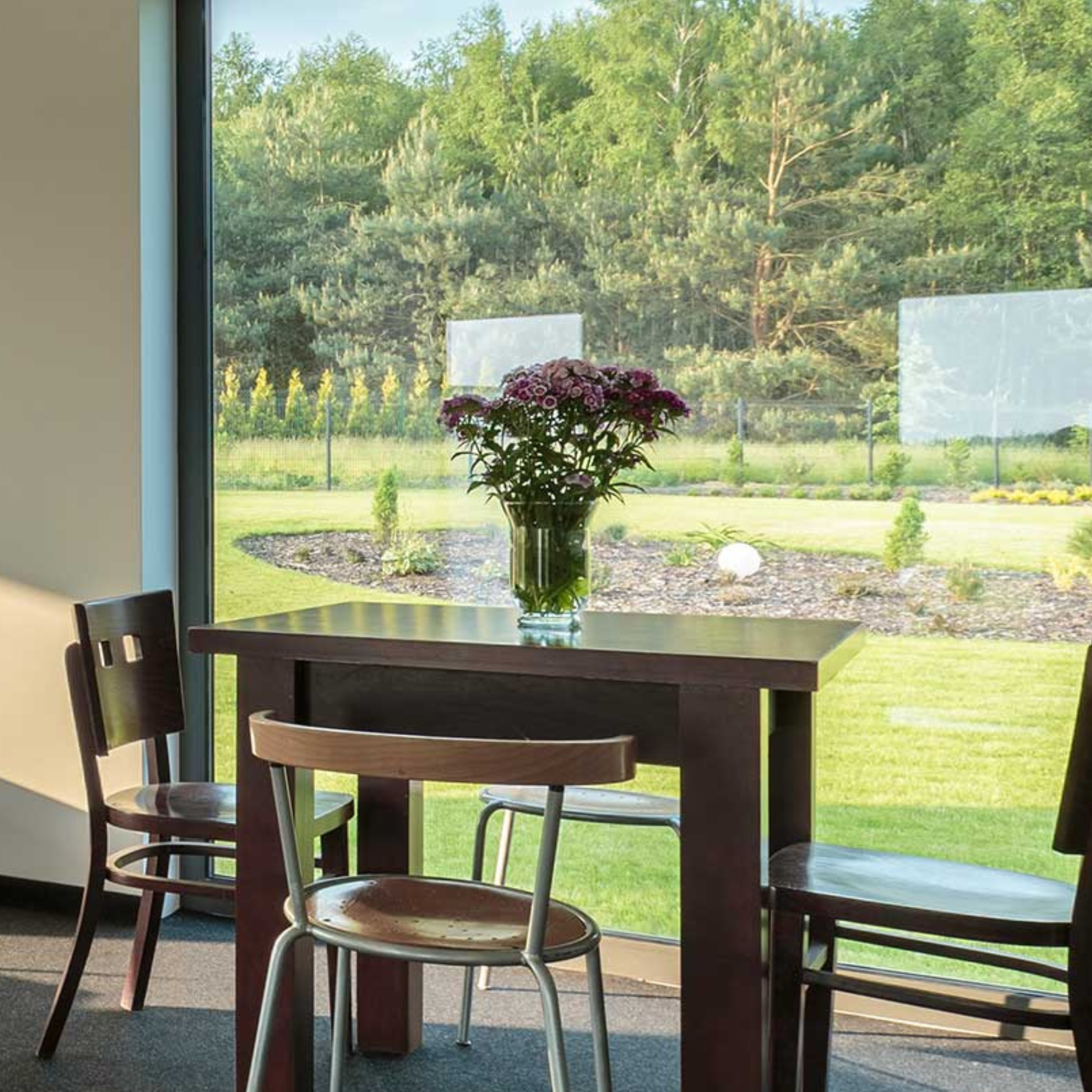 Immagine descrittiva